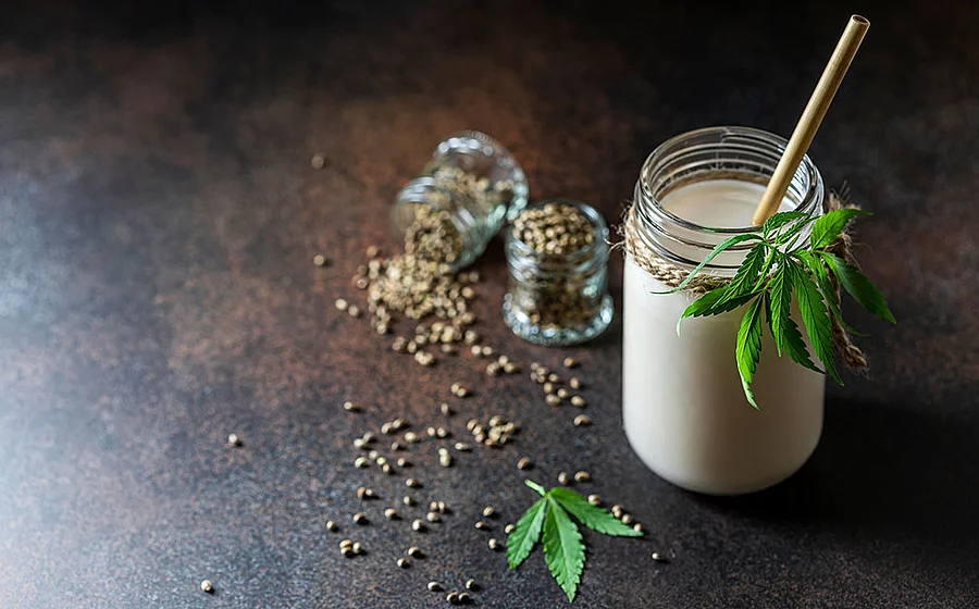 Ein Glas mit Hanfmilch und Hanfsamen sowie Hanfblatt als Dekoration.
