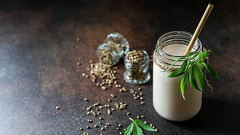 Ein Glas mit Hanfmilch und Hanfsamen sowie Hanfblatt als Dekoration.