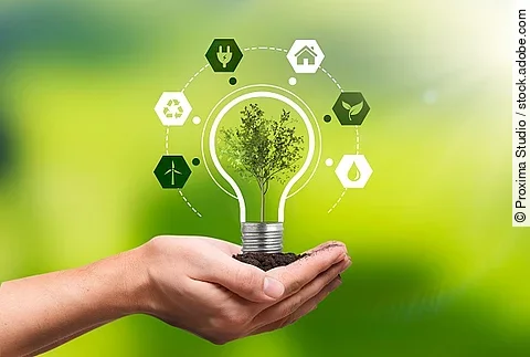 Nachhaltigkeitskonzept visualisiert. Mensch hält eine Glühbirne, in der eine Pflanze wächst.