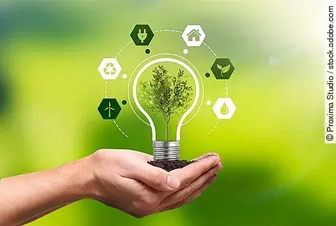 Nachhaltigkeitskonzept visualisiert. Mensch hält eine Glühbirne, in der eine Pflanze wächst.