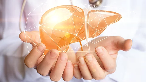 Ein Arzt hält die Hände wie eine Schale. Darüber befindet sich eine schematische Darstellung der Leber. 