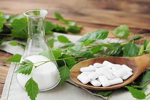 Birkenzweige, Xylit in einem Erlenmeyerkolben, Kaugummis auf einem Holzlöffel