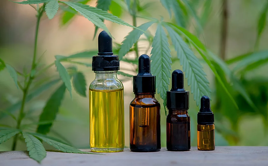 CBD-Öle vor Hanfpflanze