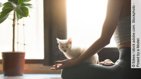 Junge Frau meditiert im Lotussitz im Morgenlicht mit Katze