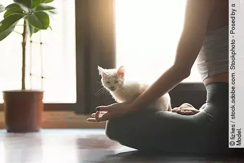 Junge Frau meditiert im Lotussitz im Morgenlicht mit Katze