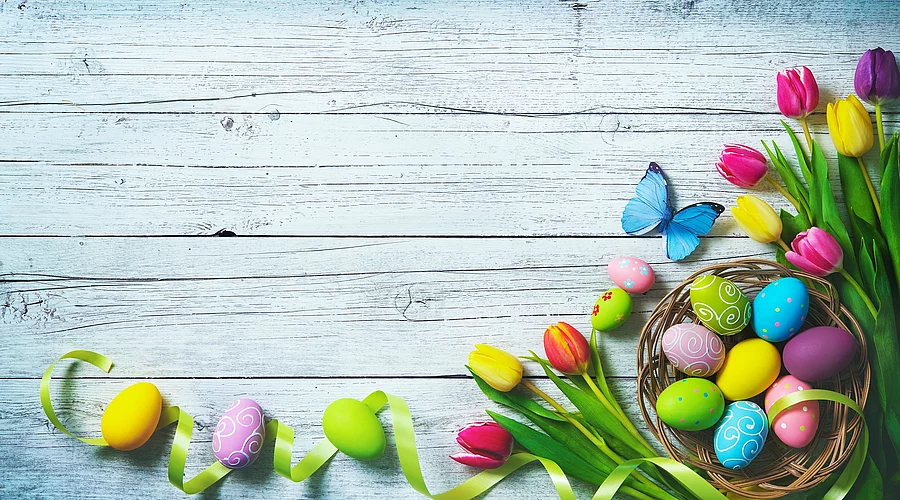 Easter background. Colorful spring tulips with butterflies and p bunte gefärbte Eier, Tulpen arrangiert auf Holzhintergrund