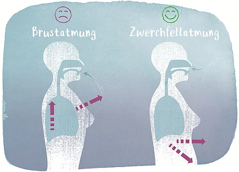 Grafik: links Brustatmung: Person, die durch den Mund atmet und in die Brust; rechts: Zwerchfellatmung: Person, die durch die Nase atmet und in den Bauch