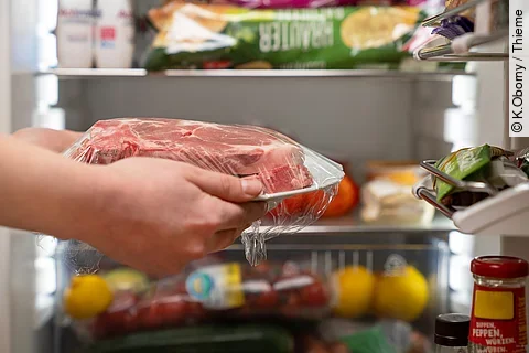 Person hält einen Teller mit rohem Fleisch. Im Hintergrund steht der Kühlschrank.