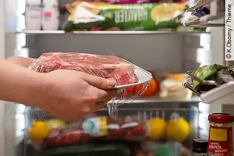 Person hält einen Teller mit rohem Fleisch. Im Hintergrund steht der Kühlschrank.