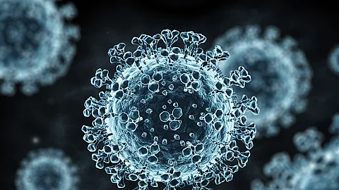 Illustration: Coronavirus