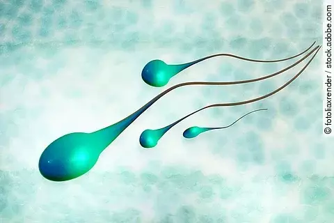 Spermien in 3D Render Ansicht.