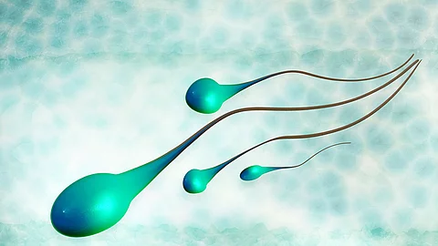 Spermien in 3D Render Ansicht.
