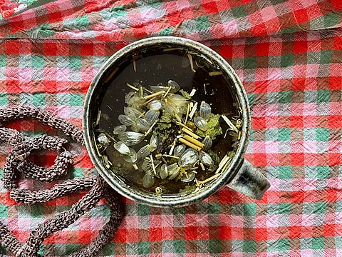 Tasse mit frischem Kräutertee auf einem karierten Tischtuch