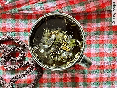 Tasse mit frischem Kräutertee auf einem karierten Tischtuch