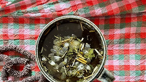Tasse mit frischem Kräutertee auf einem karierten Tischtuch