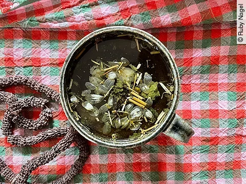 Tasse mit frischem Kräutertee auf einem karierten Tischtuch