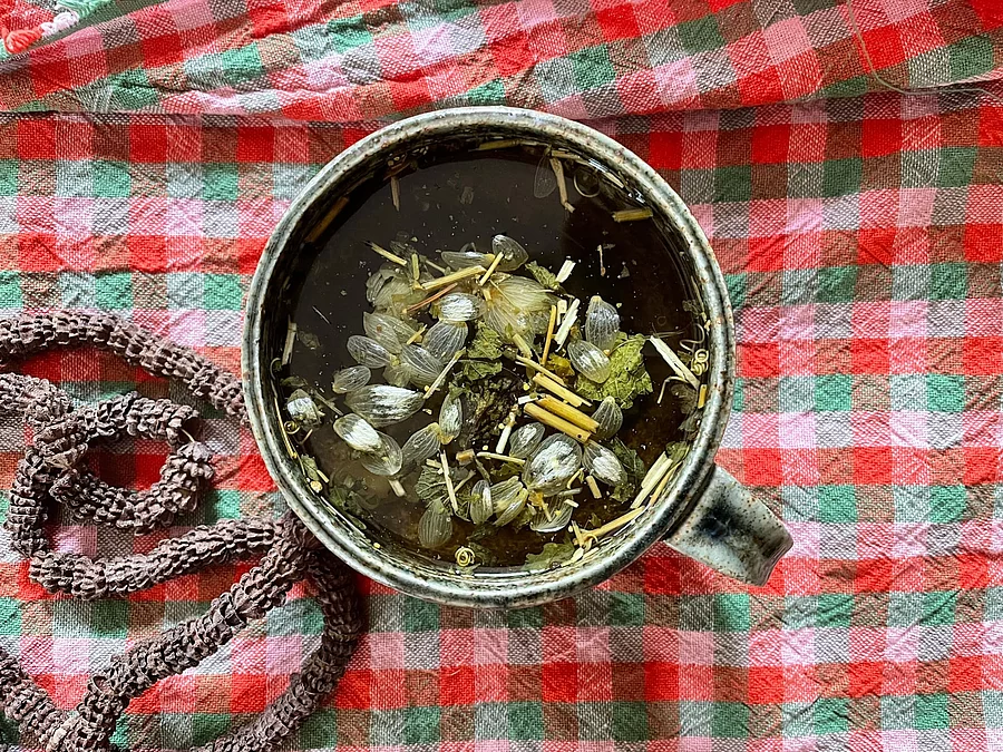 Tasse mit frischem Kräutertee auf einem karierten Tischtuch Tasse mit frischem Kräutertee auf einem karierten Tischtuch