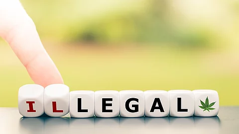 Illegal wird zu legal - auf Würfeln geschrieben
