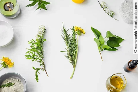 Blüten, Blätter, Braunfläschchen und Schalen komponiert auf weißem Hintergrund