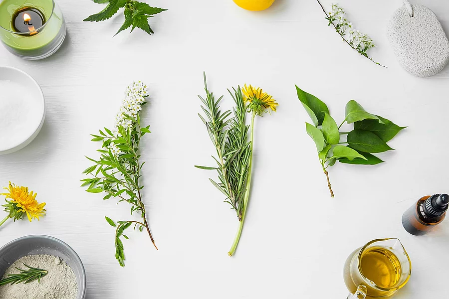 Organic spa. natural herbal skincare ingredients with herbs and Blüten, Blätter, Braunfläschchen und Schalen komponiert auf weißem Hintergrund