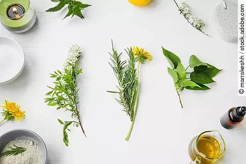 Blüten, Blätter, Braunfläschchen und Schalen komponiert auf weißem Hintergrund