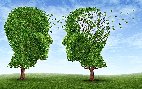 Illustration: 2 Baumkronen in Form eines Kopfes, rechts mit ausfallendem Laub