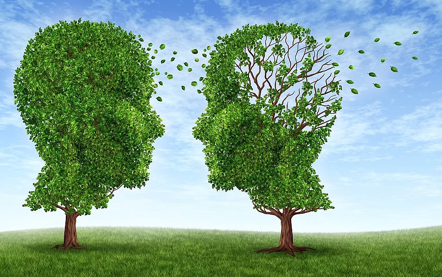 Symbolbild Alzheimer: 2 Bäume in Kopfform, rechts mit wegfliegenden Blättern