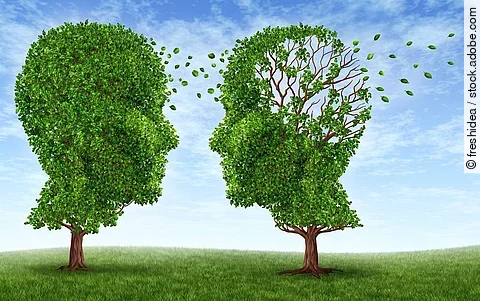 Illustration: 2 Baumkronen in Form eines Kopfes, rechts mit ausfallendem Laub