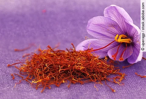 Getrockneter Safran mit Blüte.