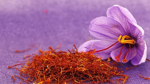Getrockneter Safran mit Blüte.