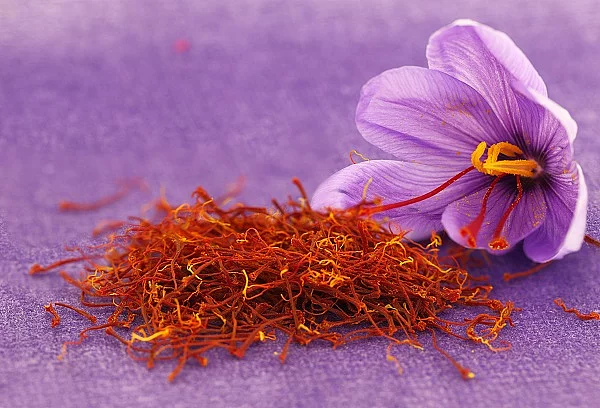 Getrockneter Safran mit Blüte.