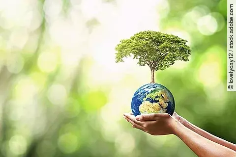 Hände halten eine kleine Erdkugel, aus der ein Baum wächst. Im Hintergrund sind verschwommen Bäume zu sehen.