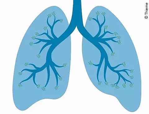 Illustration: Lunge blau auf weißem Grund