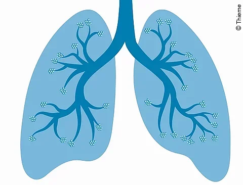 Illustration: Lunge blau auf weißem Grund