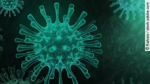 Illustration: Coronavirus