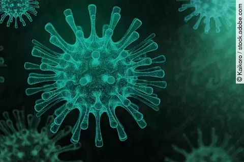 Illustration: Coronavirus