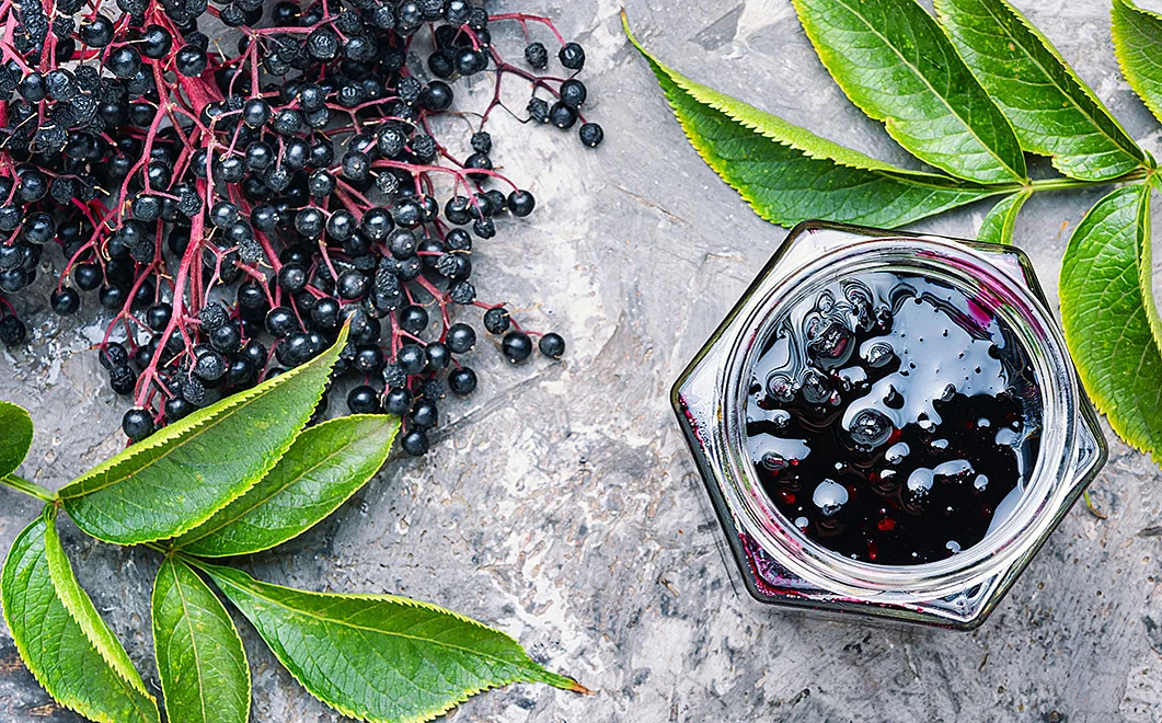 Schwarze Holunderbeeren auf einem Tisch mit einem Marmeladenglas Holunderbeerenmarmelade. Daneben liegen grüne Blätterzweige.