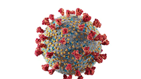 Illustration: Coronavirus