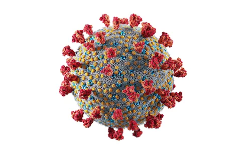 Illustration: Coronavirus