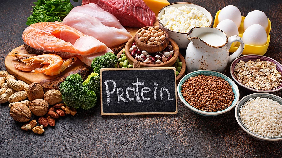 Proteinreiche Lebensmittel: Fleisch, Fisch, Hülsenfrüchte, Milch, Eier, Nüsse
