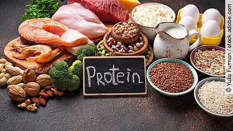 Proteinreiche Lebensmittel: Fleisch, Fisch, Hülsenfrüchte, Milch, Eier, Nüsse
