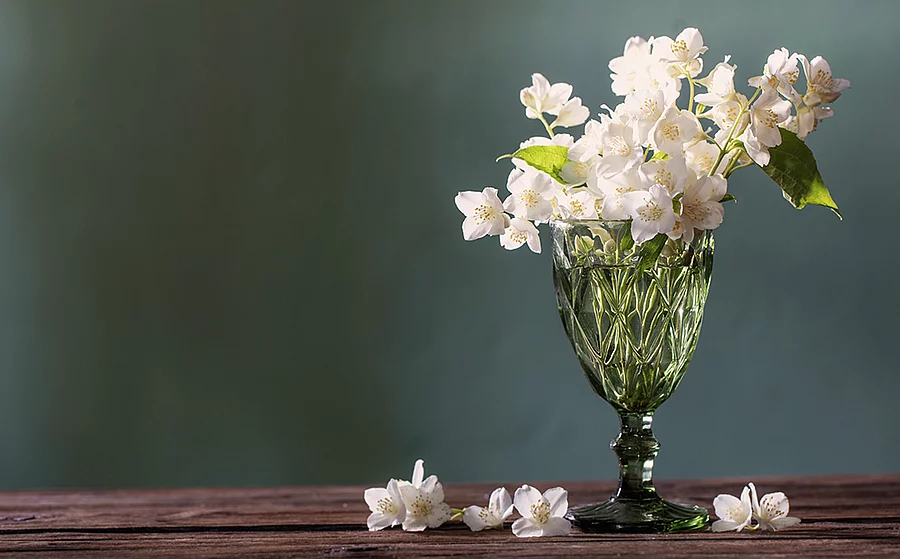 Ein Stauß Jasmin in einer gläsernen Vase auf einem Holztisch. Einige Blütenblätter liegen vor der Vase auf dem Tisch verstreut. 