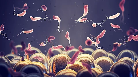 Illustration: Helicobacter auf Magenschleimhaut