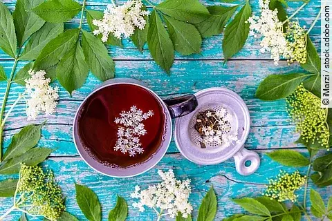 Holunderblüten und Tee aus Holunderblüten