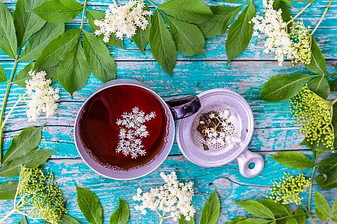 Holunderblüten und Tee aus Holunderblüten