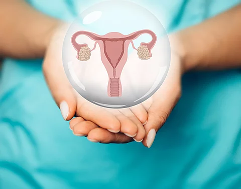 Frauenhände halten ein Uterus-Eierstock-Modell