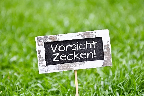 Wiese mit Schild: Vorsicht Zecken