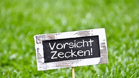 Wiese mit Schild: Vorsicht Zecken