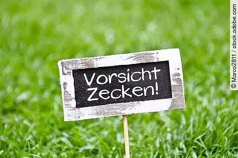 Wiese mit Schild: Vorsicht Zecken