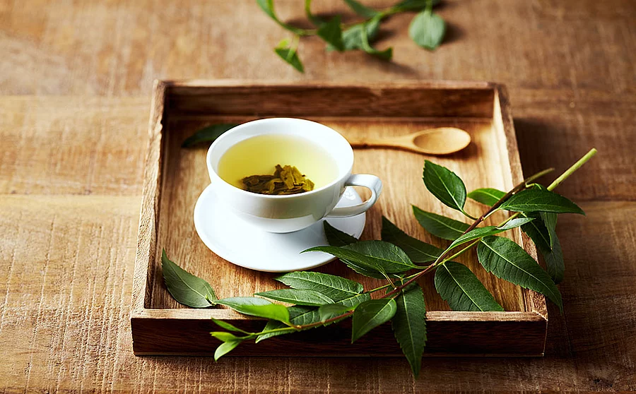 Grüner Tee in einer Tasse auf einem Tablett aus Holz